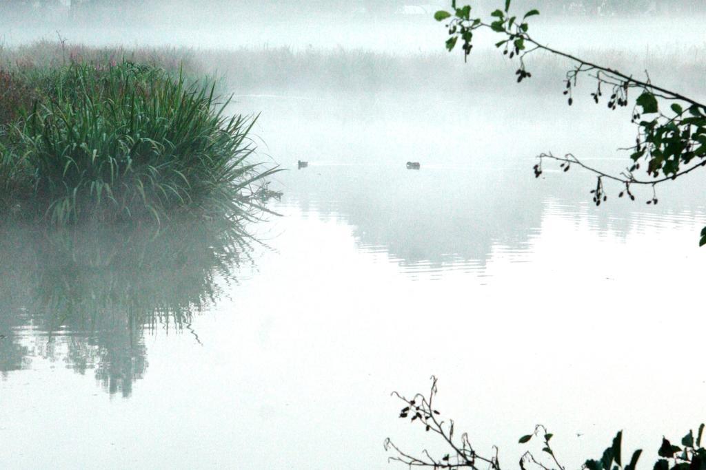 Gites Chambres D'Hotes Entre Terre & Mer Souvigny-en-Sologne Exteriér fotografie